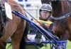 Ingen Mats E Djuse på Solvalla – ryggproblem för toppkusken mats e djuse i sulky 3 1440x810 jpg