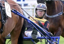 Ingen Mats E Djuse på Solvalla – ryggproblem för toppkusken mats e djuse i sulky 3 1440x810 jpg