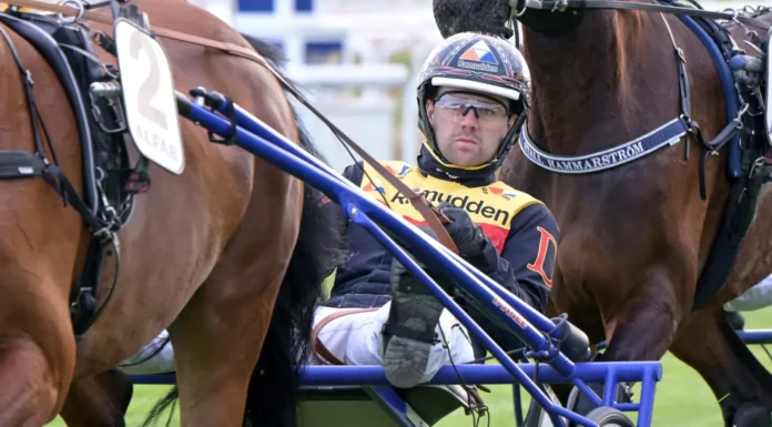 Ingen Mats E Djuse på Solvalla – ryggproblem för toppkusken mats e djuse i sulky 3 1440x810 jpg