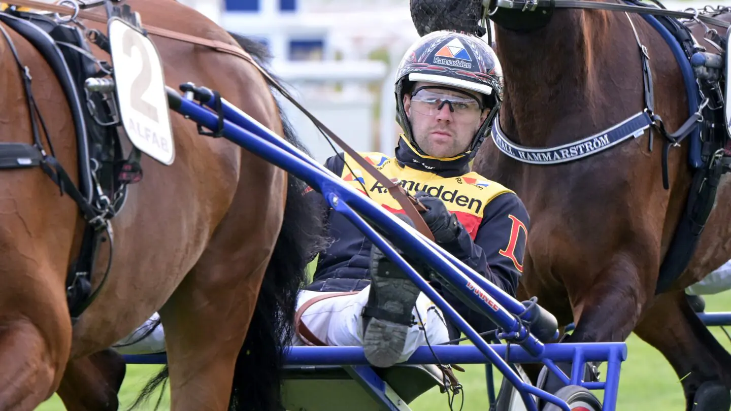 mats e djuse i sulky 3 1440x810 jpg