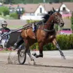 Inför V86: Maria Törnqvist har läge att vinna dubbelt merlin mearas varmning med maria tornqvist 1440x960 jpg