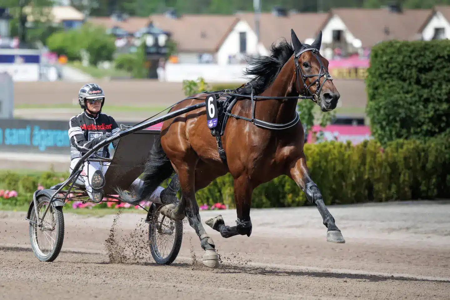 merlin mearas varmning med maria tornqvist 1440x960 jpg