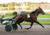 Inför V85: Tror på världsrekordhållaren i kriteriet nanda devi cut heat 1440x810 jpg
