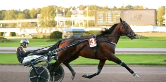 Inför V85: Tror på världsrekordhållaren i kriteriet nanda devi cut heat 1440x810 jpg