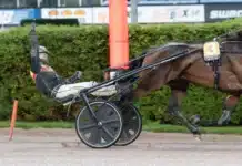 Eftersnack & Resultat V85 SOLVALLA 10 oktober 2026 nanda devi cut mats e djuse segergest 1440x960 jpg