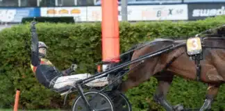 Eftersnack & Resultat V85 SOLVALLA 10 oktober 2026 nanda devi cut mats e djuse segergest 1440x960 jpg