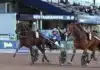 Inför V85 SOLVALLA: Kan historien upprepa sig i oaks för Sören? nelly furtado sisu mal 1440x975 jpg