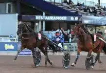 Inför V85 SOLVALLA: Kan historien upprepa sig i oaks för Sören? nelly furtado sisu mal 1440x975 jpg