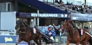 Inför V85 SOLVALLA: Kan historien upprepa sig i oaks för Sören? nelly furtado sisu mal 1440x975 jpg