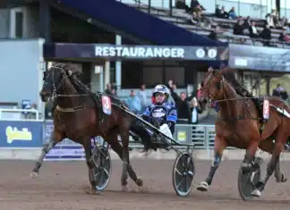 Inför V85 SOLVALLA: Kan historien upprepa sig i oaks för Sören? nelly furtado sisu mal 1440x975 jpg