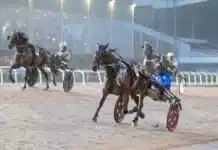 Unik spetsstatistik inför V85 JÄGERSRO 24 oktober 2026 nilla lane malgang2 1440x960 jpg