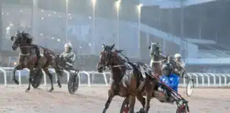 Unik spetsstatistik inför V85 JÄGERSRO 24 oktober 2026 nilla lane malgang2 1440x960 jpg