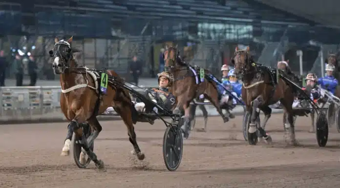 Inför V86: Sultan Sea i toppform – men innerspåret inte optimalt sultan sea mal 1440x813 jpg