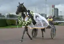 Allsvenska kuskligan: Djuses drömvecka – dominerar på svenska travbanor zeebreeze segerdefilerar 1440x922 jpg